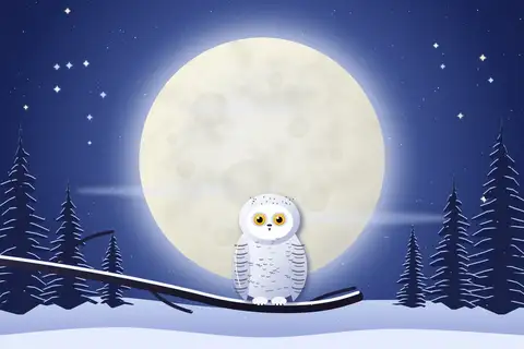 Owl and Full Moon