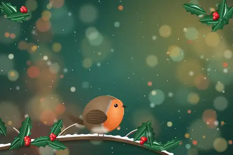 Robin and Holly