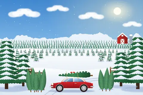 Christmas Tree Farm